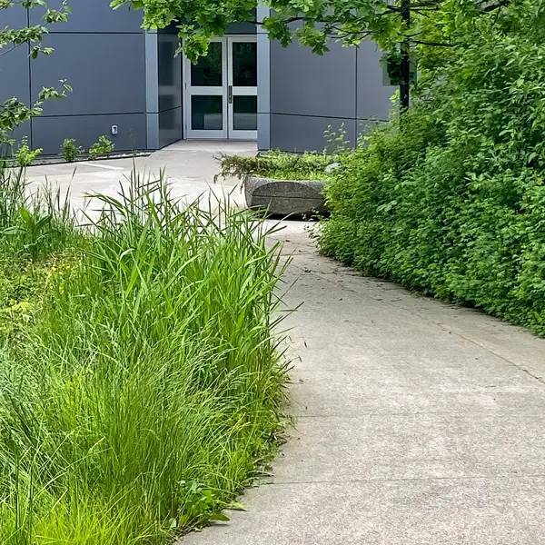 Travaux d’assainissement et terrassement à Dinard